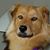 Ruth Finkelstein's profile image