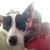 Norman Mackey's profile image