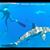 Alberto Garcia Fitoria's profile image