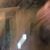 Andy Heldreth's profile image