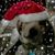 RileyDog Gie-Lama's profile image