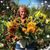 Mary Elizabeth Anne Donahue's profile image