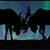 Cindy Zwiener Carruthers's profile image