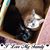 Linda Schofield's profile image