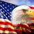 Karyn Mulholland's profile image