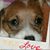 Wendy Meads's profile image