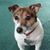 Tom Ager's profile image