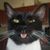 Joann Anderson's profile image