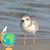 Dianne Elizabeth's profile image