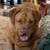 Lisa Davis's profile image