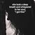 Samantha Penrod Mechling's profile image