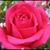 Melody Schmitt's profile image