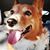 Mark Garcia's profile image