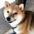 Jan Silberstein's profile image