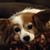 Sally Fenn-Tucker's profile image