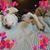 Susan A. Mankowski's profile image