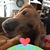 Kari Smith's profile image