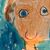 Christine Morrison's profile image