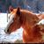 Nanine d'Onofrio's profile image