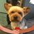 Dinah B. Landry's profile image