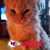 Marsha Farrell's profile image
