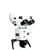 Hee Alfred's profile image