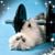 Robin Bagster's profile image