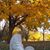 Kelly Shea Barke's profile image