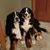 Andrea Hapke's profile image