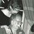 Winnie Bush Wendel's profile image