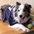 Wendy Garrett's profile image