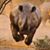 Valentin Morales's profile image