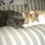 Terri Vidrick's profile image