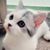 Linda Bengston's profile image