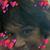 Julie Crussemeyer Meyer's profile image