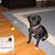 Gwynne Quillen Stover's profile image