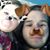 Austin Jenkins's profile image