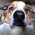 Shay Murphy's profile image