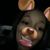 Ashley Gordon's profile image