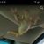 Heather Fryer's profile image