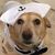 Molly Rives's profile image