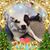 Liz Uzzo's profile image