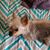 Dawn McGrew's profile image