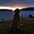 Katie Hodsdon's profile image