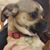 Sandy Pierce's profile image
