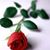 Pat Brumley's profile image