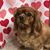 Dawn Emerich's profile image