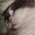 Pamela Thurston's profile image