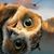 Alicia Ann Hadden's profile image