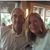 Denny Powell Tomkins's profile image